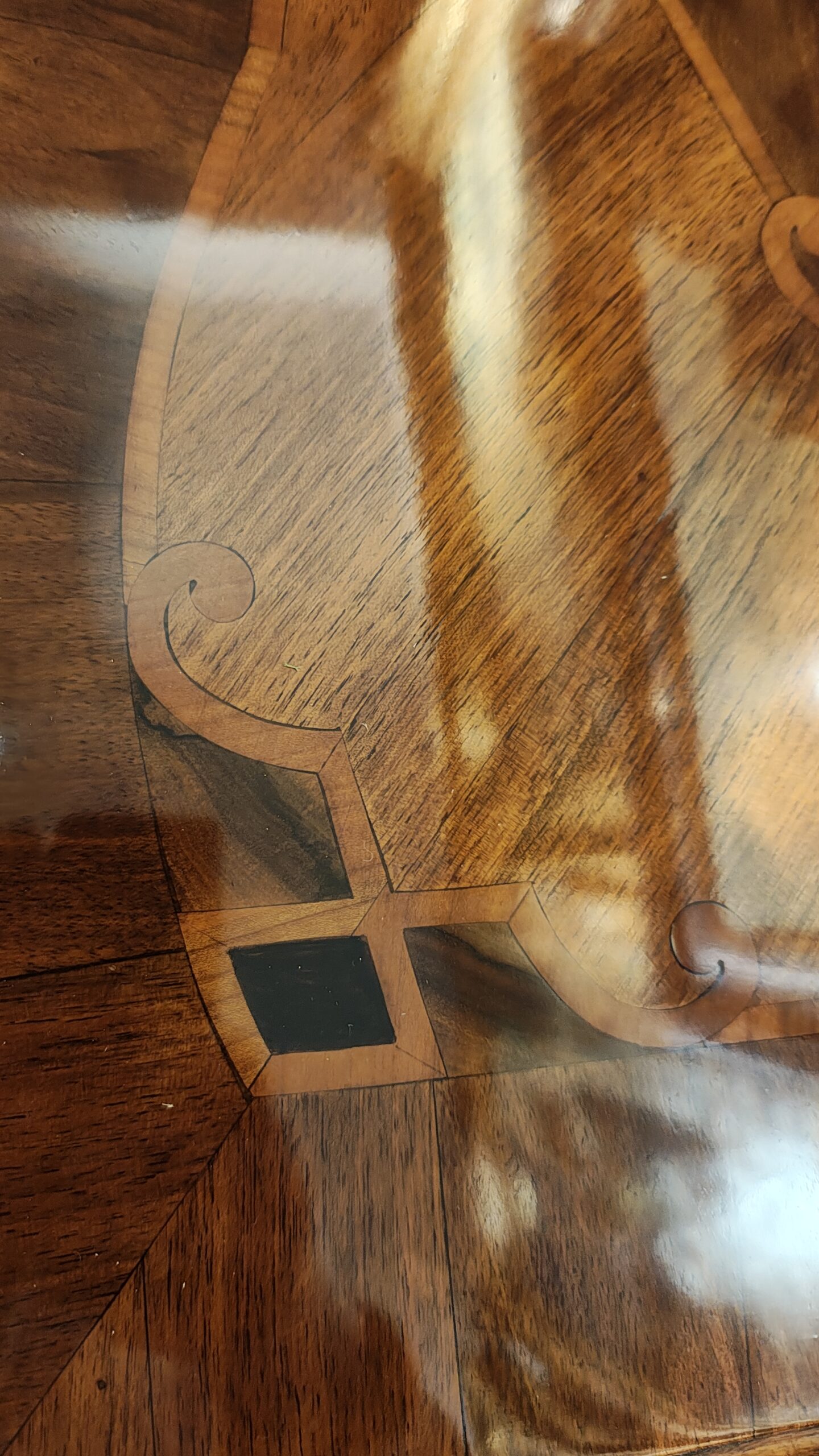 IMG_20251207_121953531_HDR