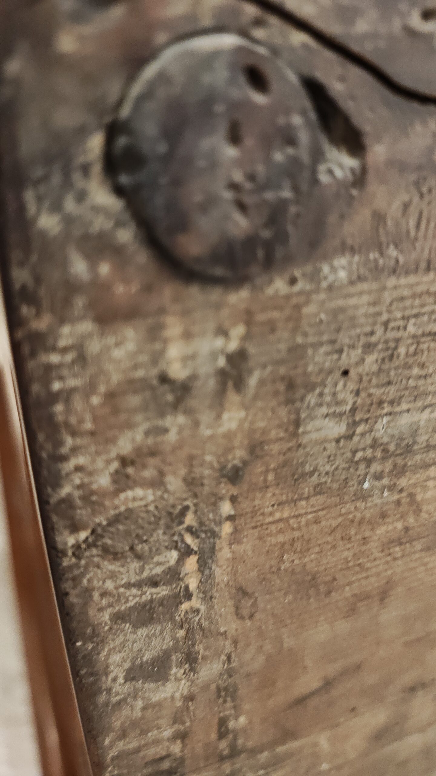 IMG_20251207_122039716